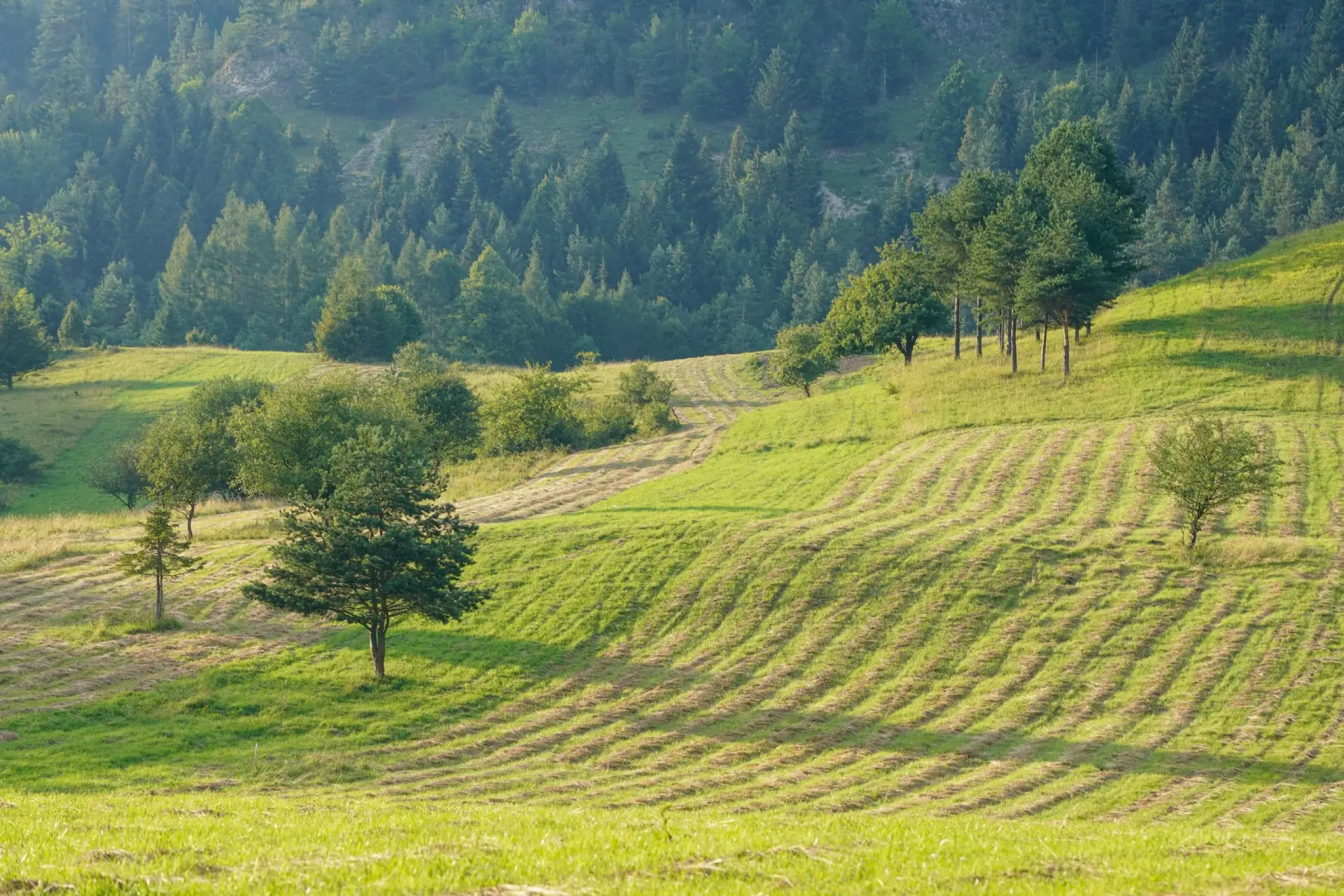 🌎 В ритме природы