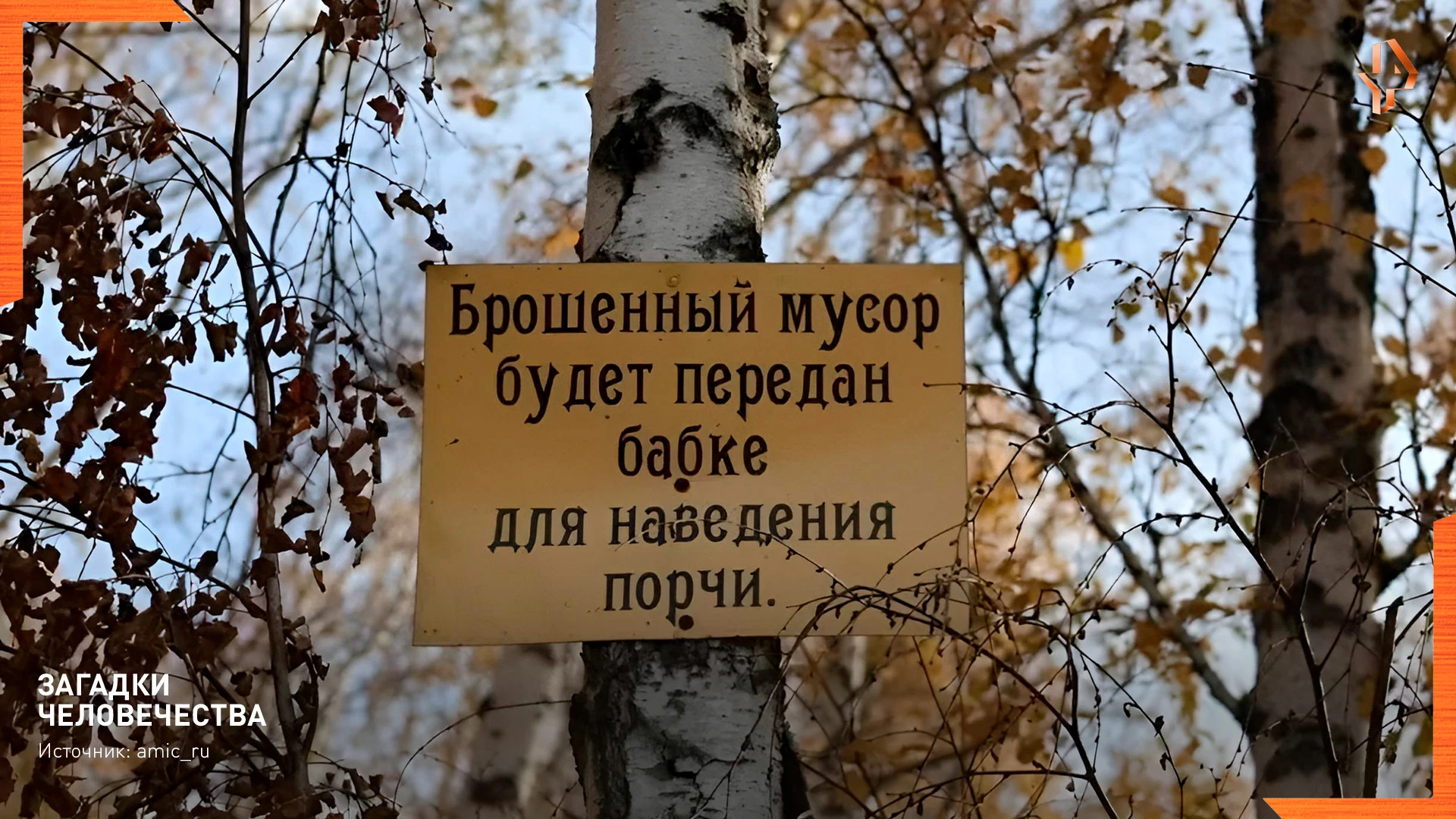 😃Чёрные маги на светлой стороне.