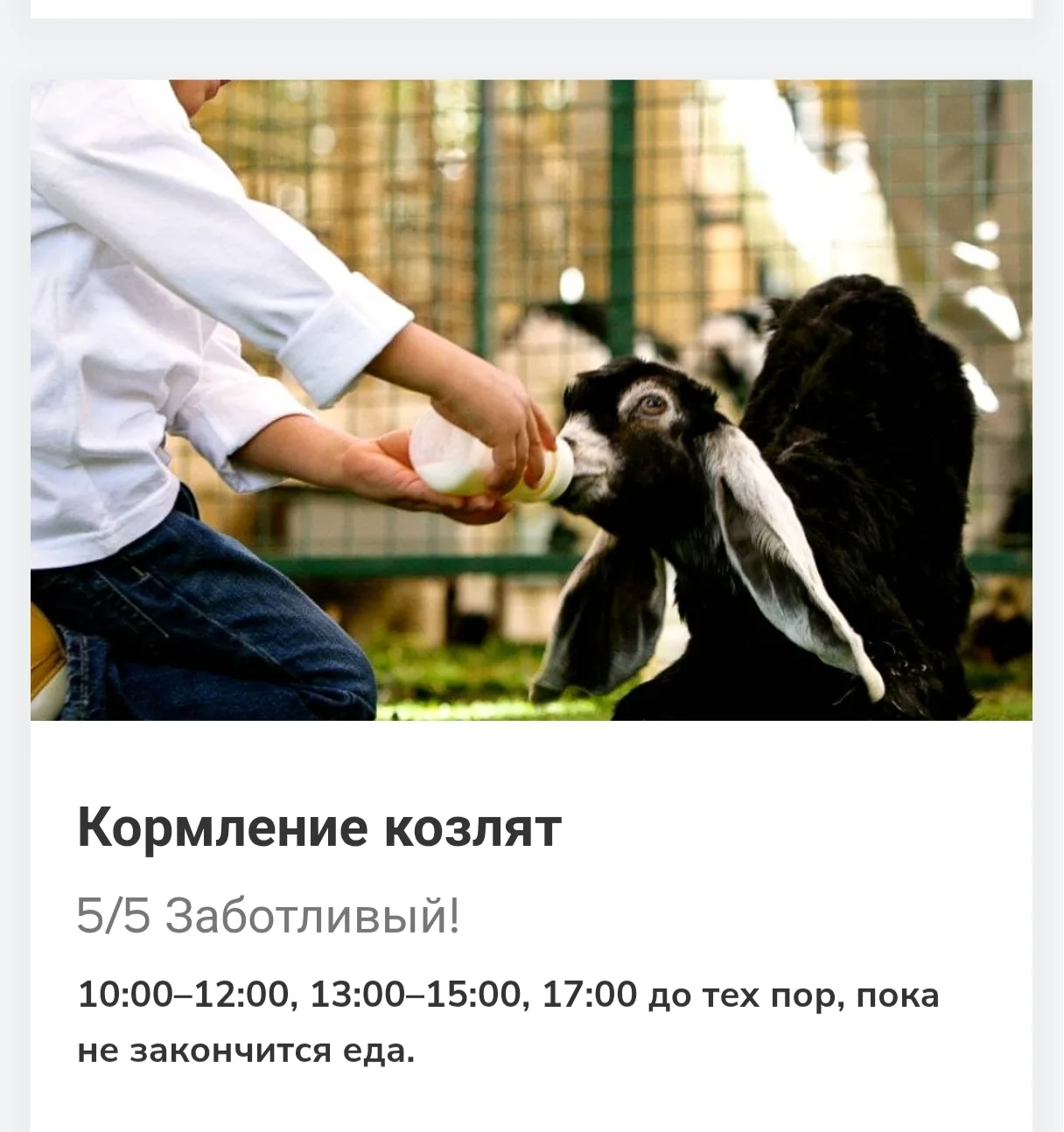 #ОАЭ