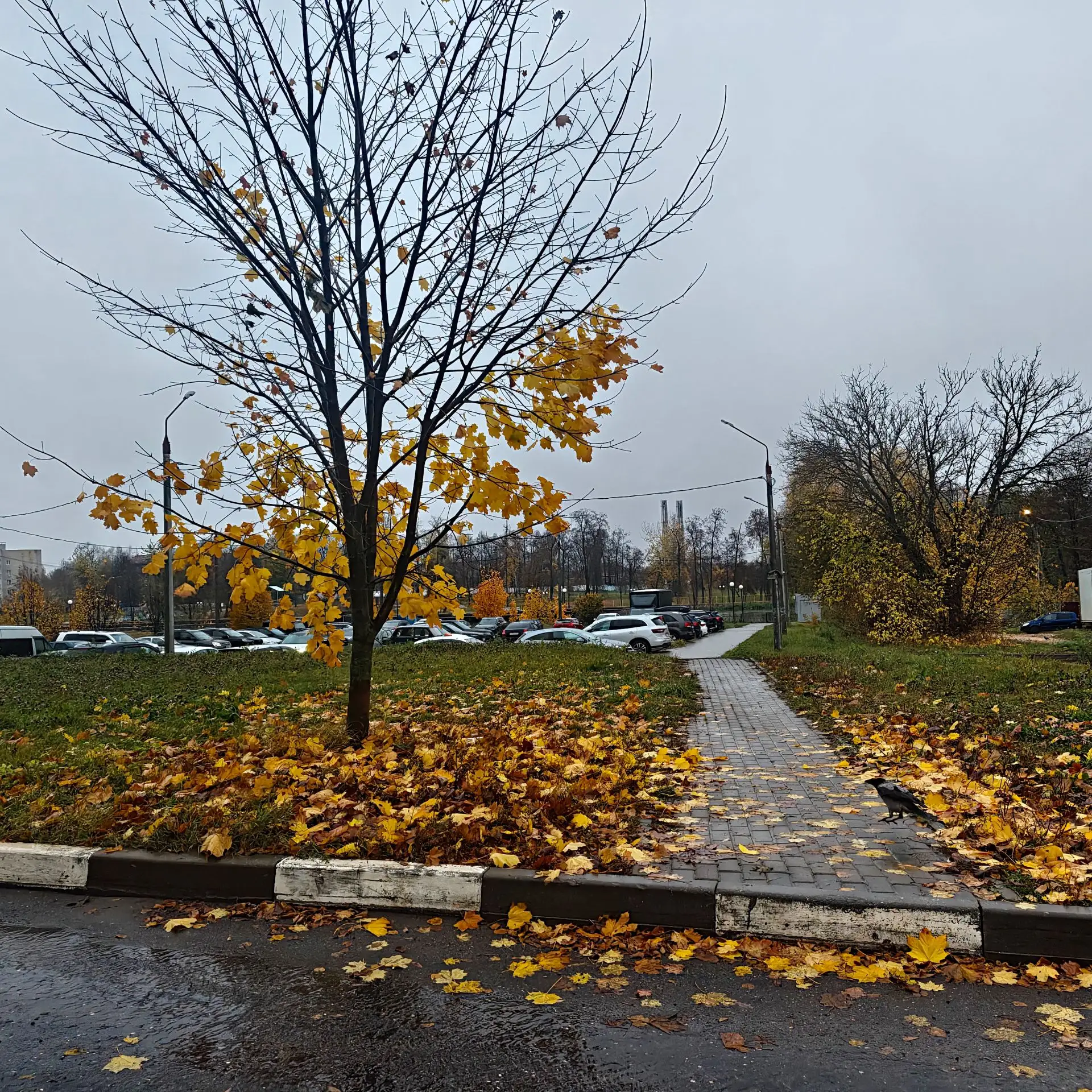 С добрым утром, Серпухов! ☔️