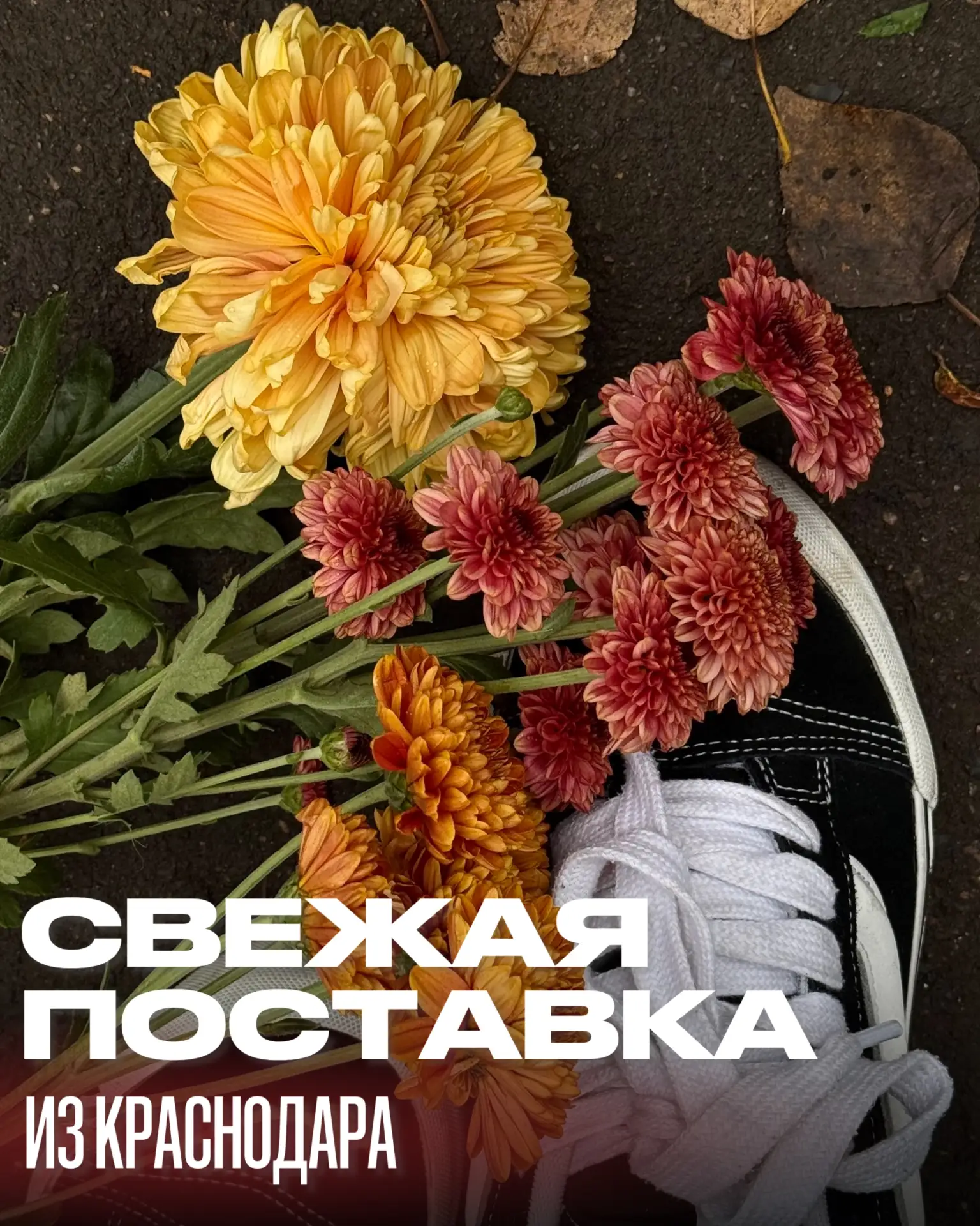 🌿 Свежая поставка из Краснодара уже в нашем холодильнике!