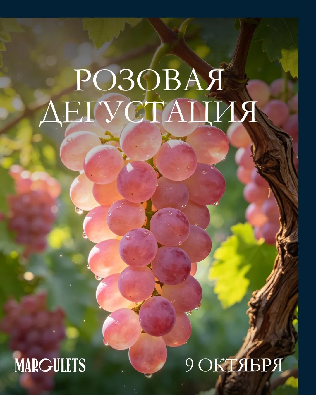 Вечер Розе в Margulets!