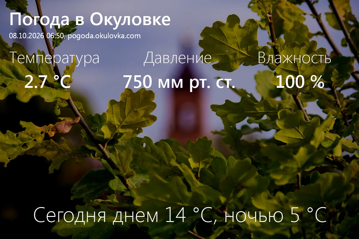 Доброе утро! Сейчас в Окуловке 2.7 °C, давление 750 мм.рт.ст., влажность 100%.