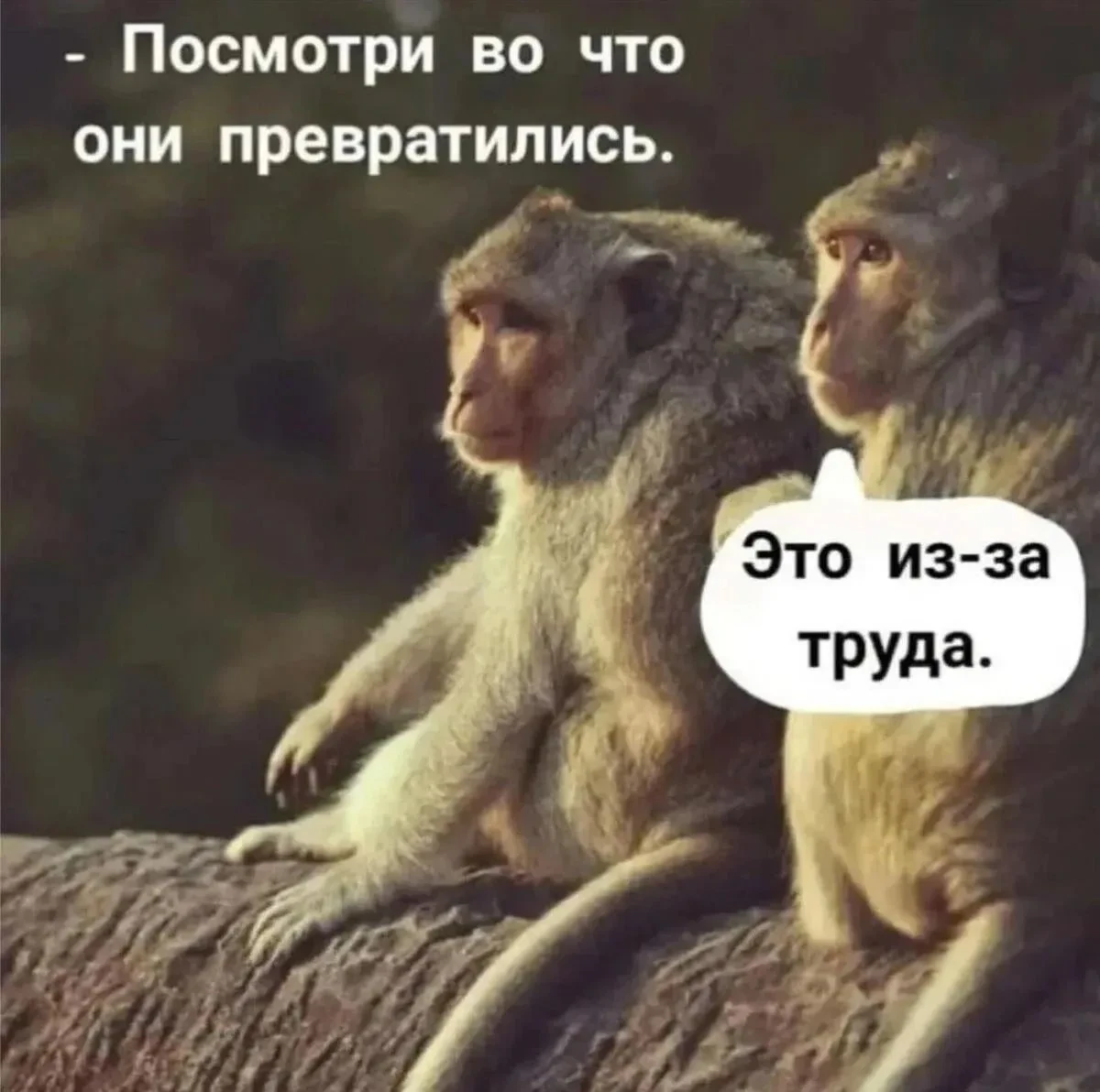 Минутка юмора 😁