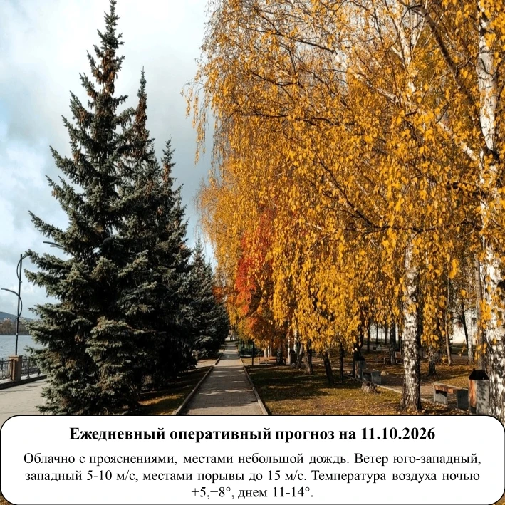 На основании ежедневного оперативного прогноза от ГКУ «ТЦМ»