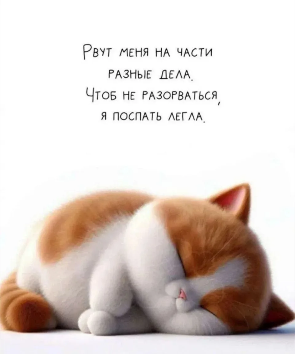 И... Выспалась🥰 10 часов сна – это вам не шуточки😁 особенно после ежебудничных 4х🫣