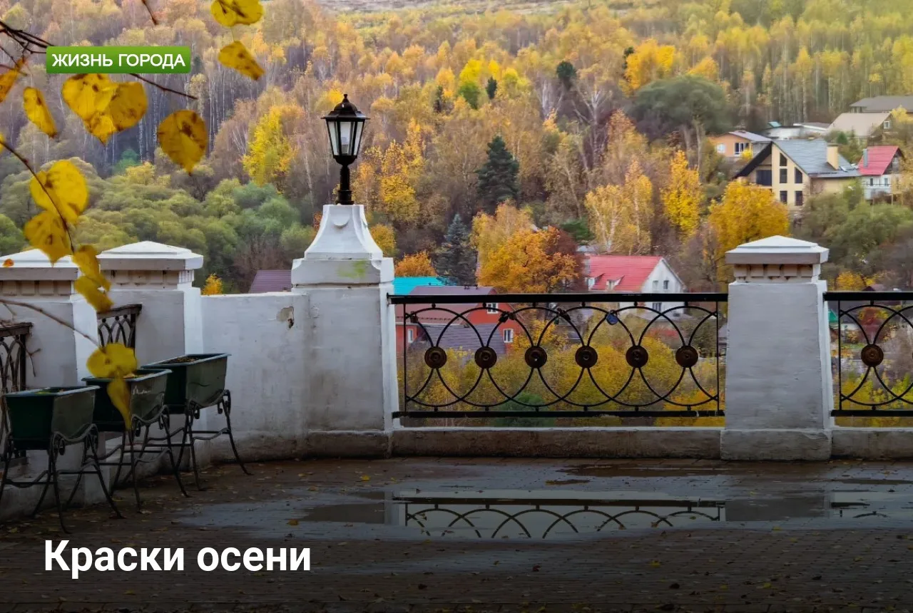 Краски осени  🍁