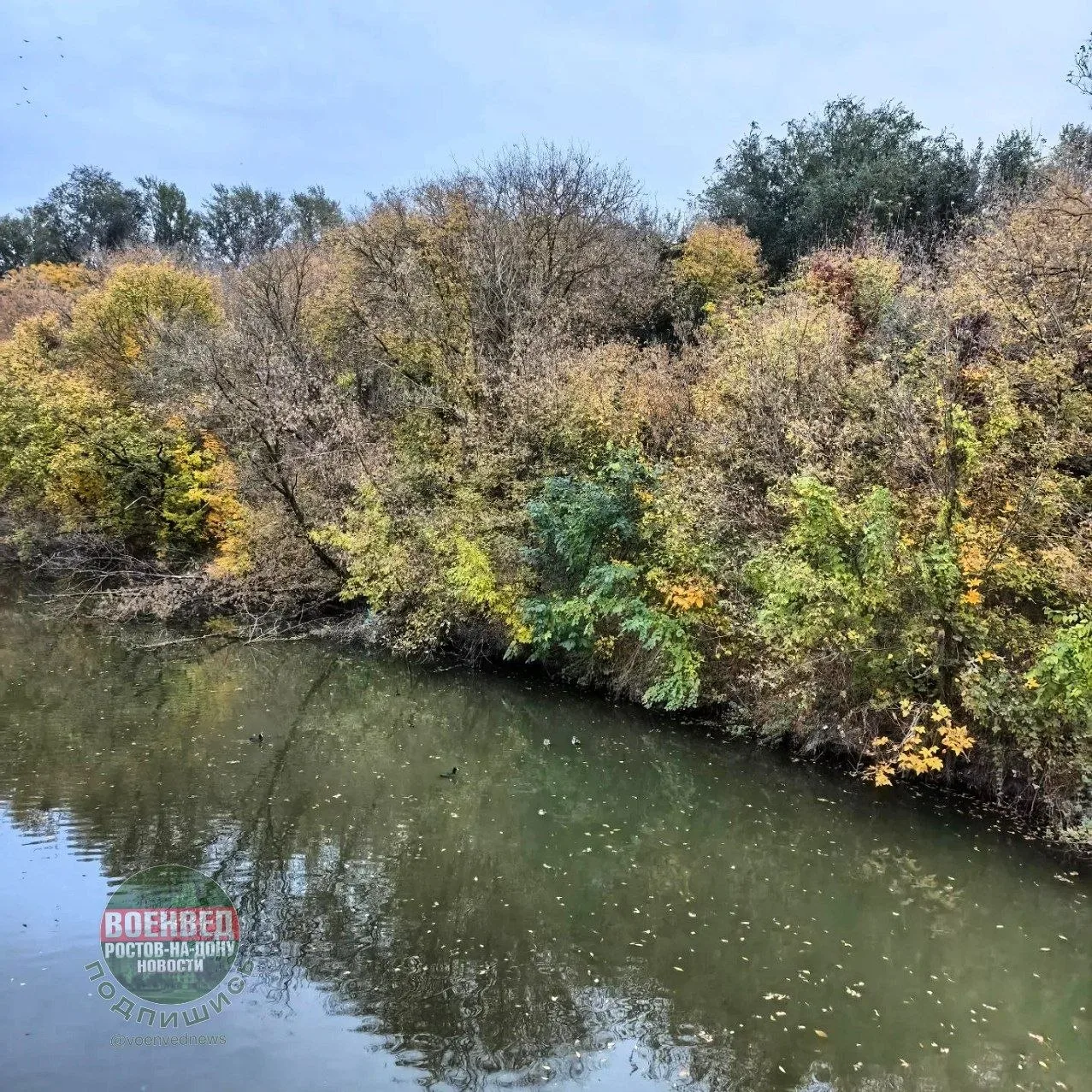 Прогулка по парку Октября🍂Наша осень🍂