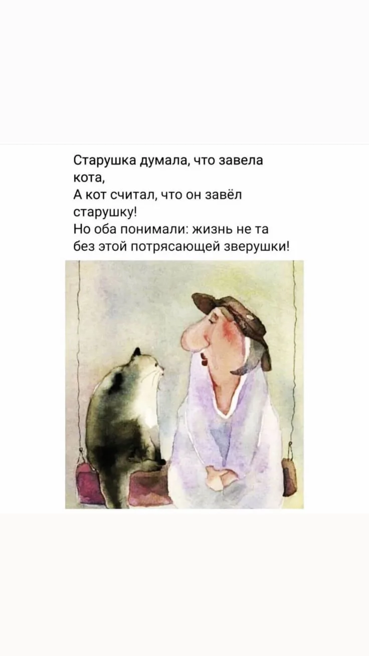 Наши котики искренне полагают - мы с Еленой -  чтобы  кормить, ухаживать, защищать и лю...