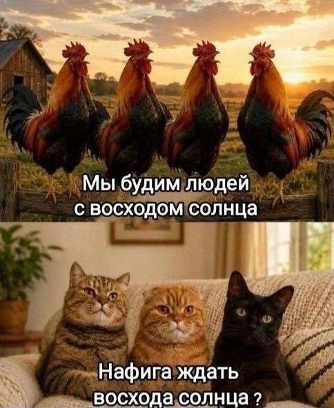 Юмор и открытки на каждый день