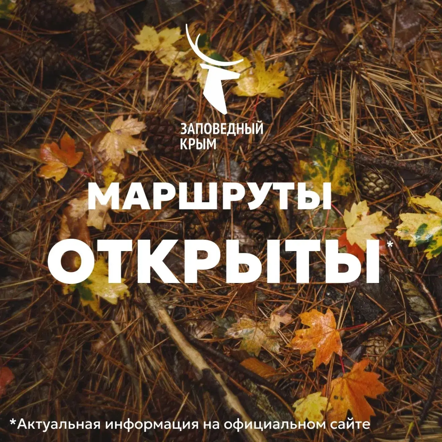 ‼В Ялтинском горно-лесном заповеднике сняли запрет на посещение
