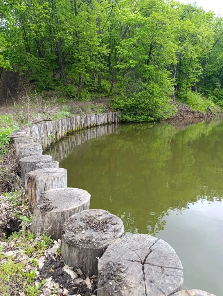 ▌ 🌳 Почему люди выбирают парк отдыха «Ударник»?