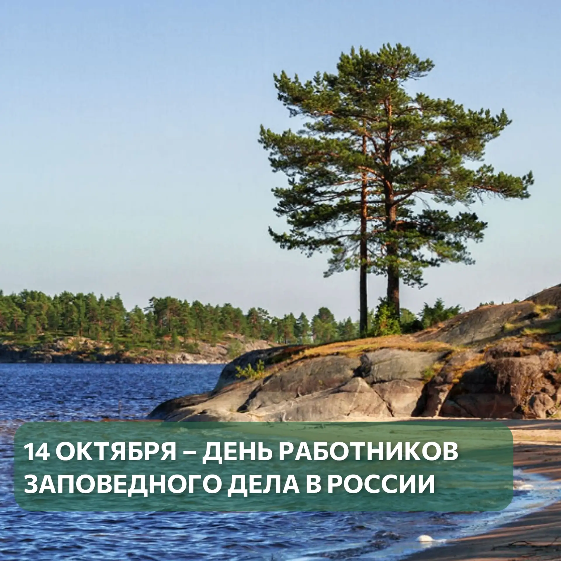 🌿С Днём работников заповедного дела!