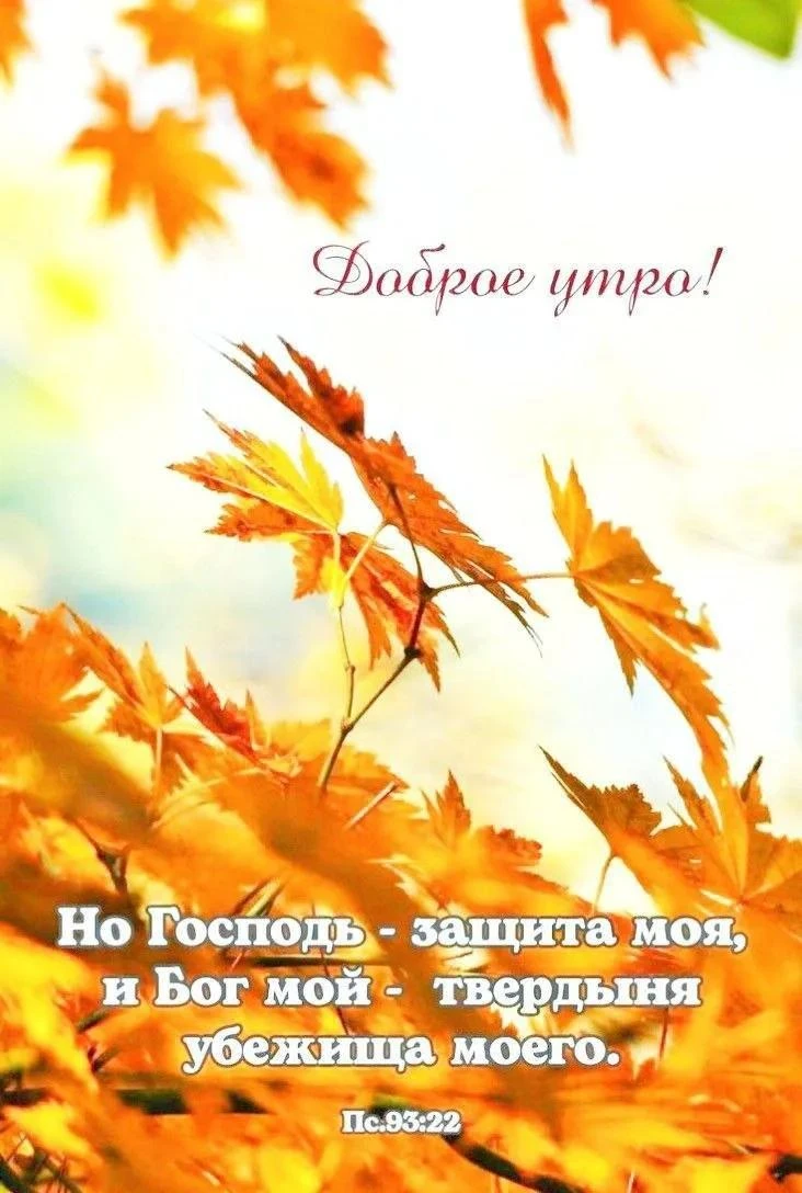 С добрым утром, дорогие!