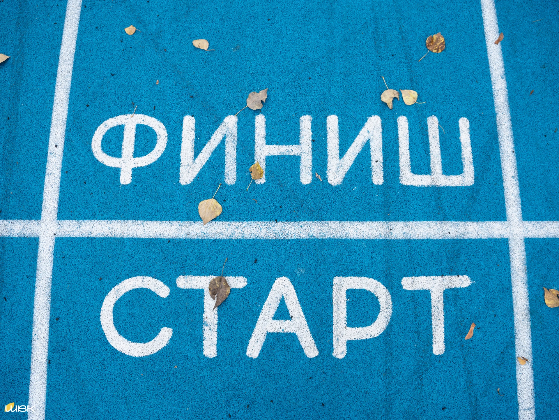 🚀  Включаем спортивный режим