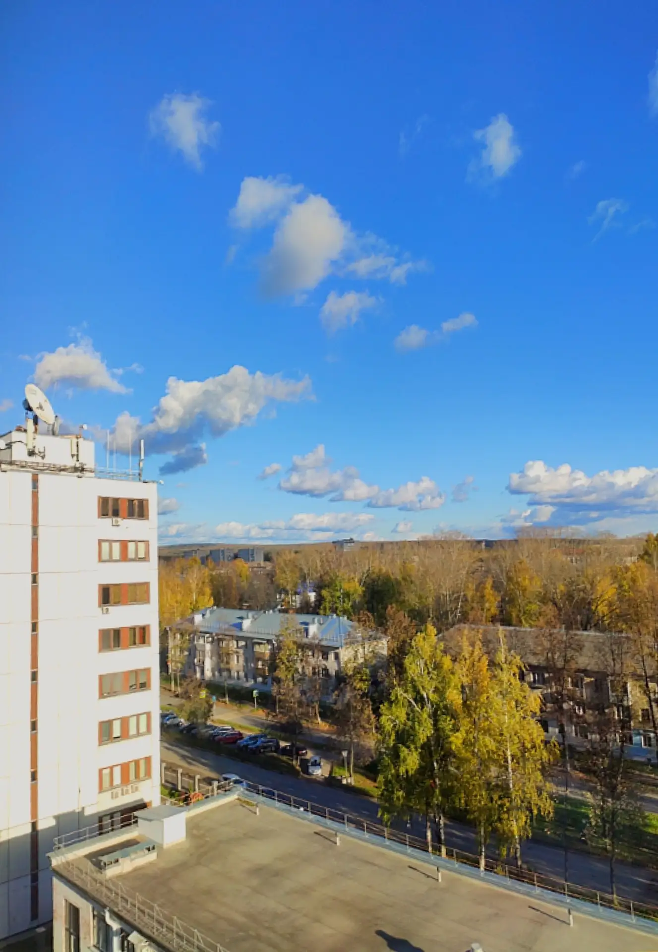 С высоты птичьего полета