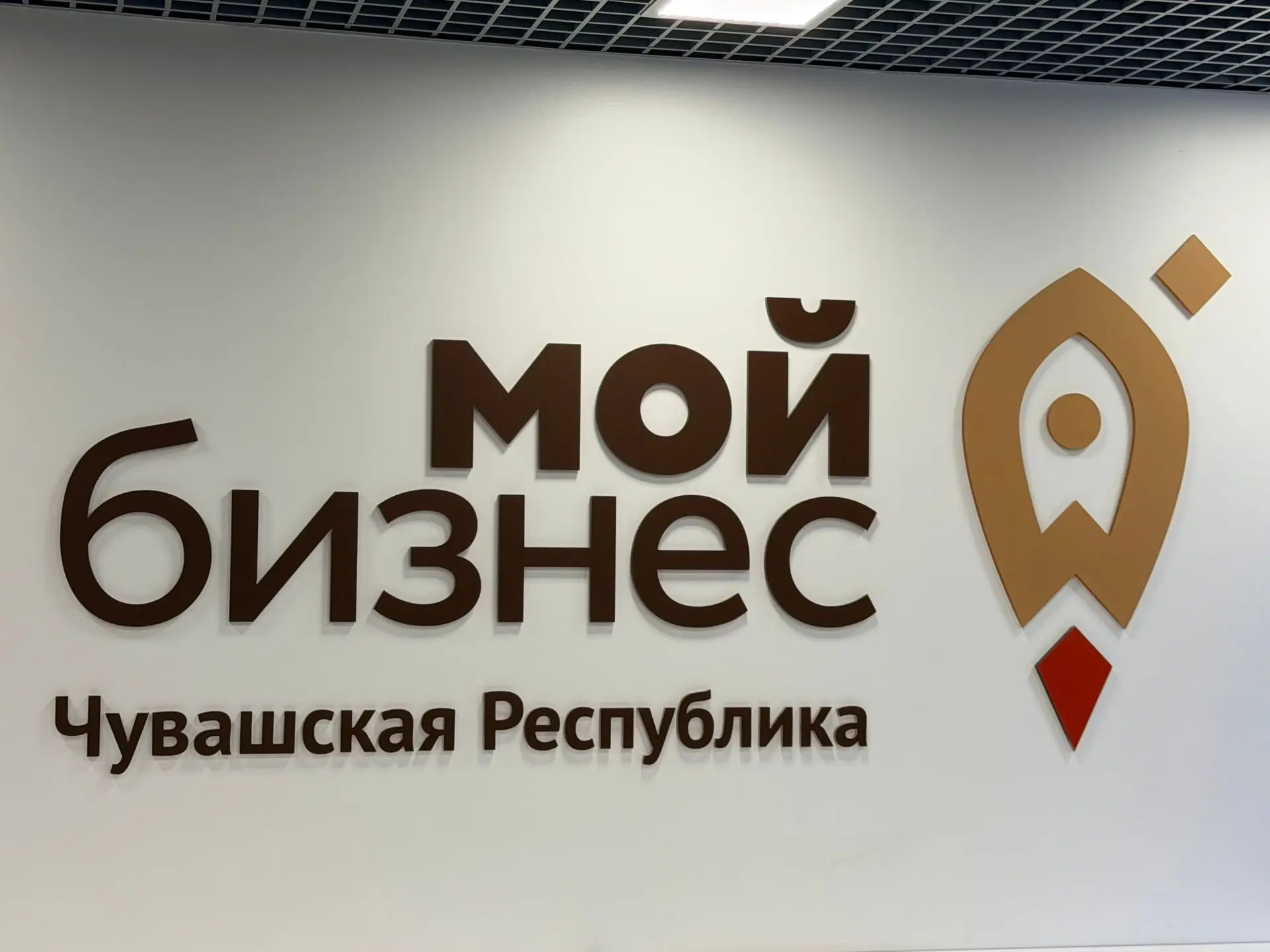 Результаты государственной кадастровой оценки земель в Чувашии обсудили на «круглом сто...