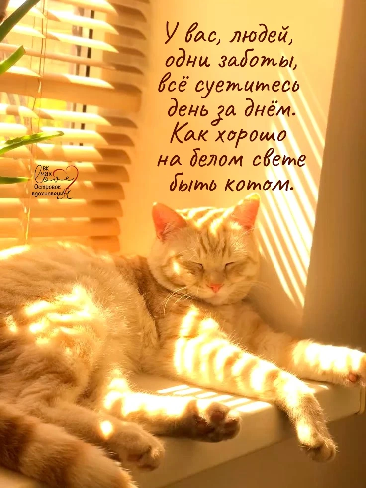 ───⋅୭⋅───