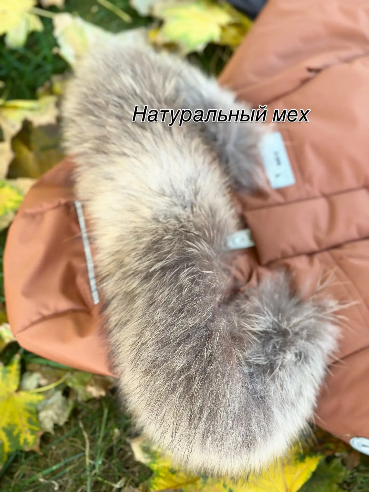 Прежде чем выбирать на мальчика зимний комплект , рекомендуем рассмотреть это восхитите...
