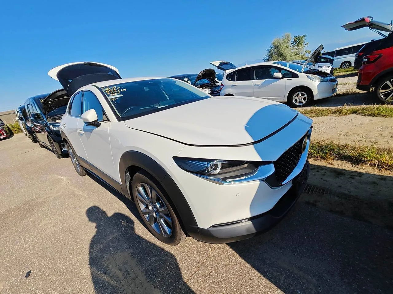 Mazda CX-30 нашей заказчицы прибыла на причал в порт Японии!