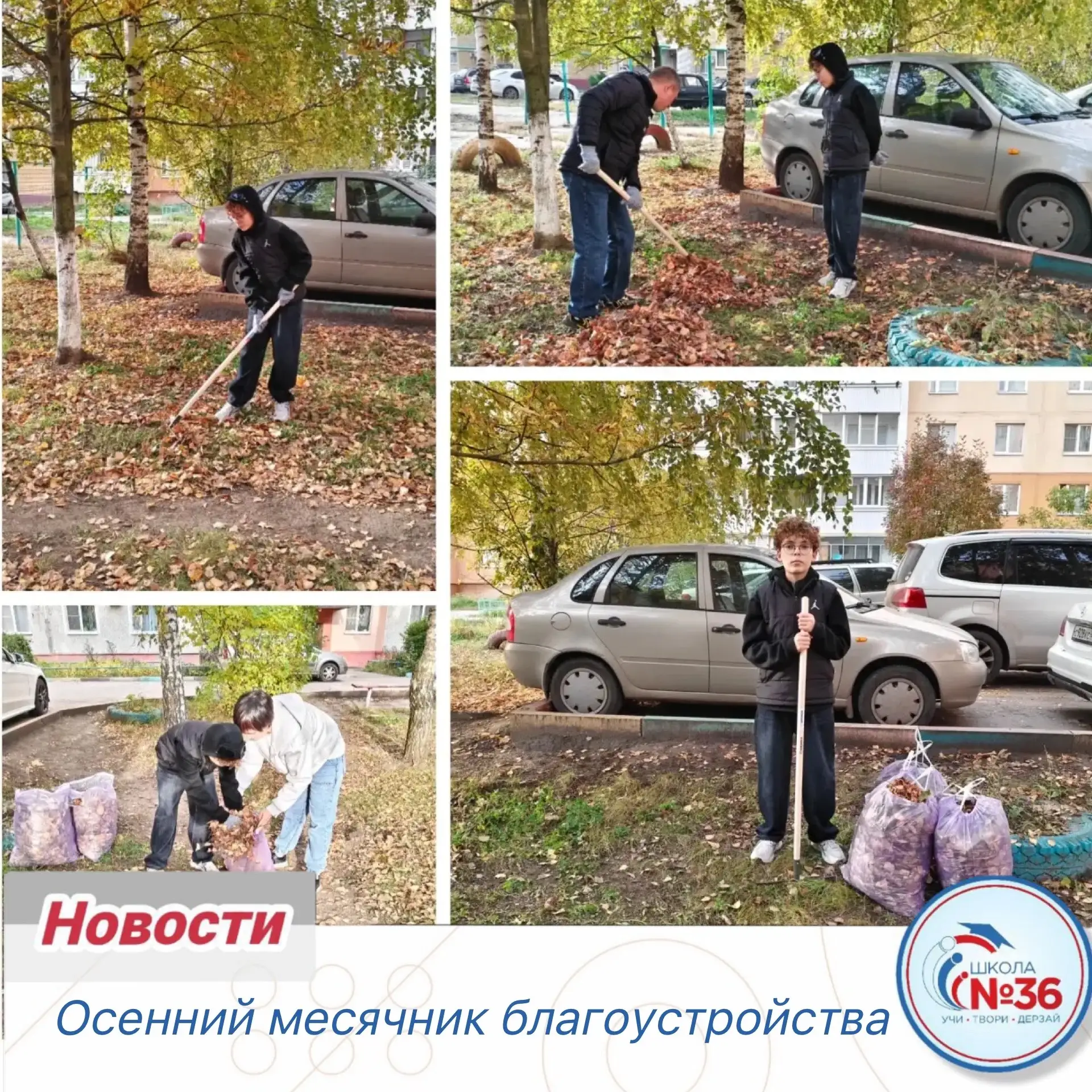 Акция «Субботник во дворе дома, где живёт моя семья» продолжается, и ученики 7А класса ...