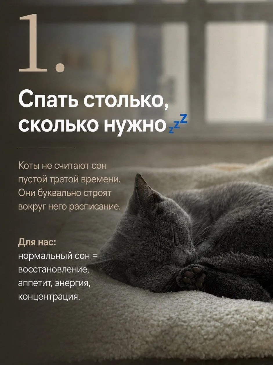 Всем, доброго утречка и отличной недели!