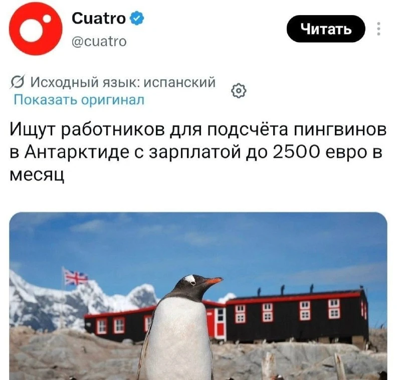 ❄️ В Антарктиде ищут смотрителей пингвинов