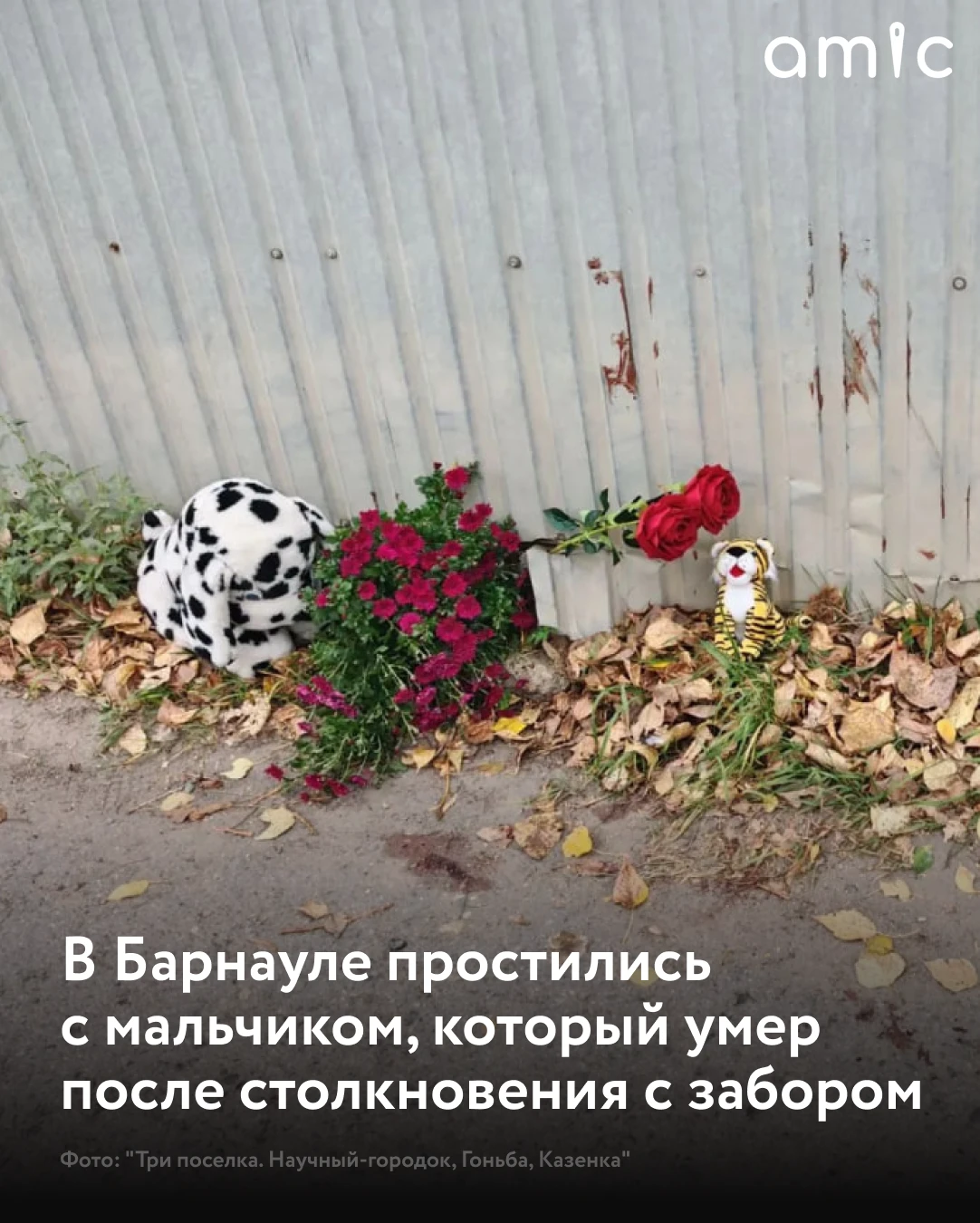 В Барнауле 7 октября прошли похороны мальчика, погибшего в результате несчастного случа...