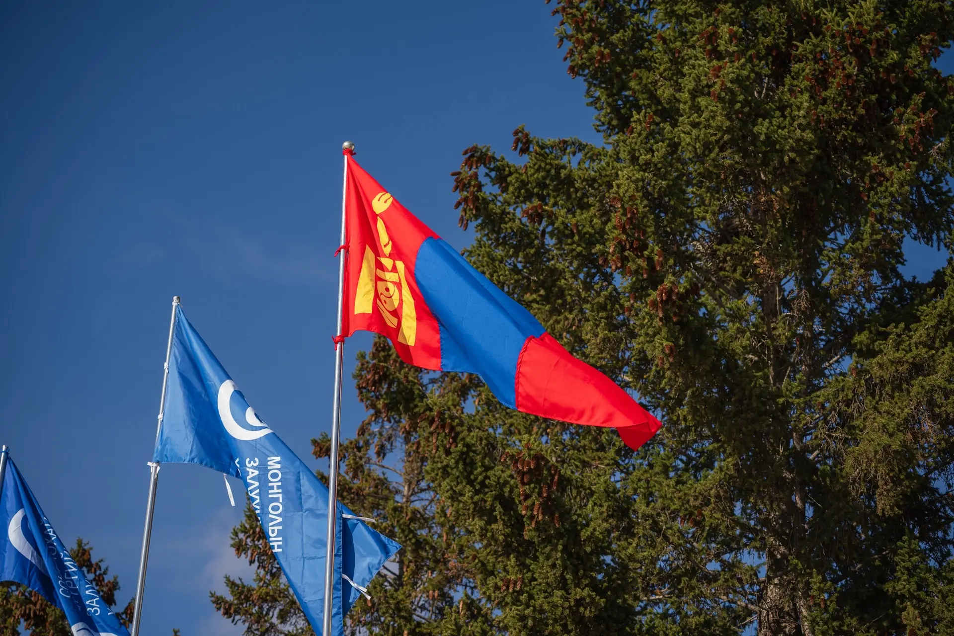 🇷🇺🇲🇳 В Монголии состоялся II Российско-Монгольский молодёжный форум