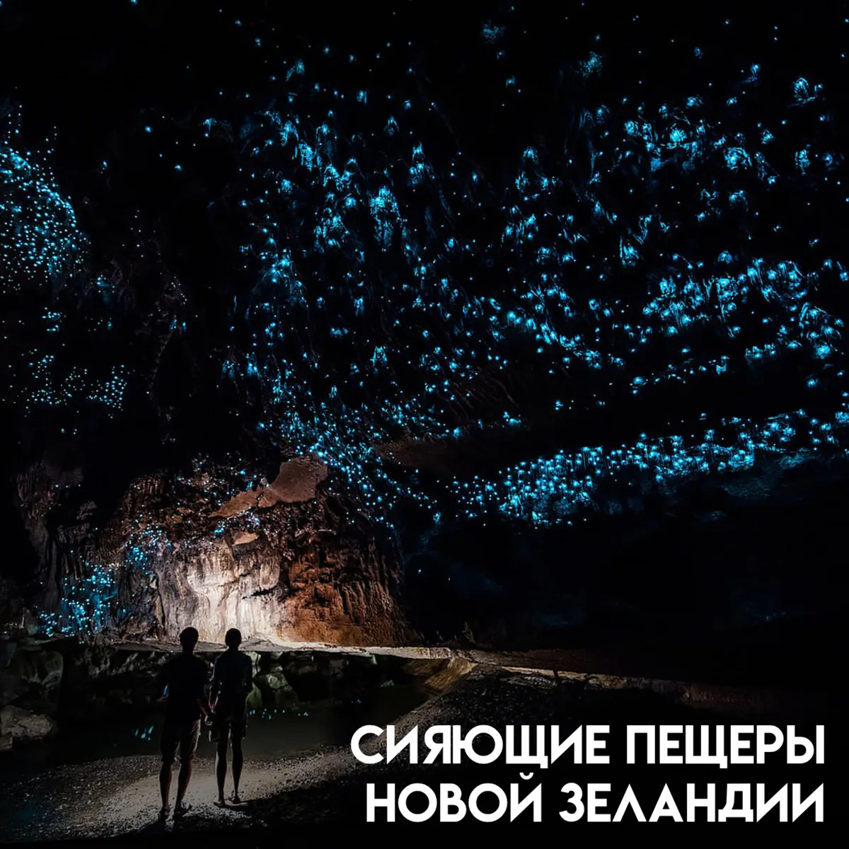 Своды пещер Новой Зеландии покрыты тысячами голубоватых огоньков, которые легко принять...