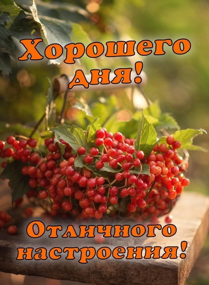 КРАСИВЫЕ ОТКРЫТКИ ТУТ💖