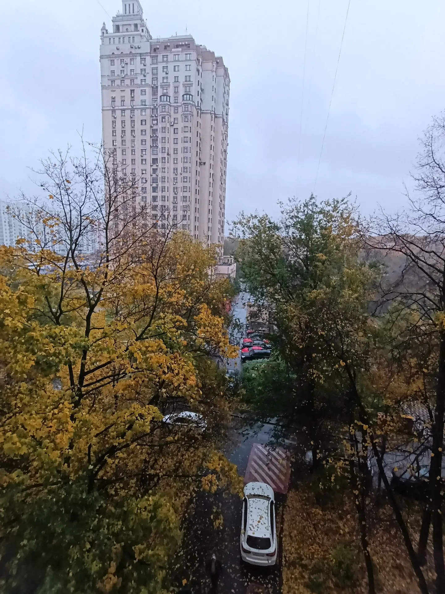 Я люблю осень, но в такую погоду у меня метаболизм как у лягушки уходит на режим спячки...
