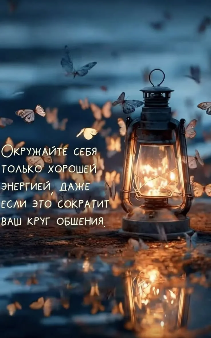 https://max.ru/invista123456