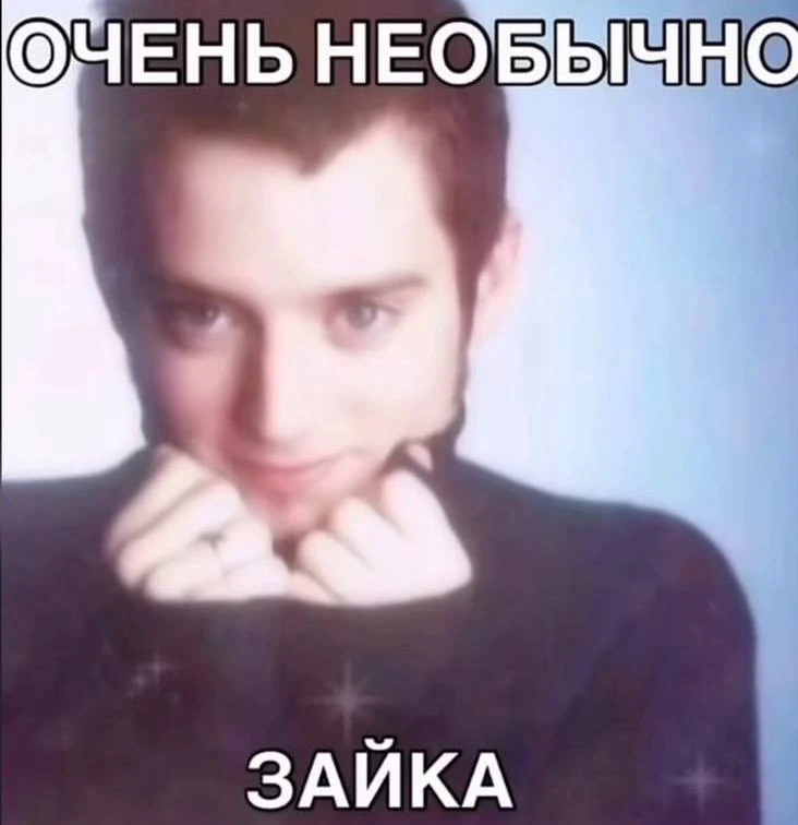 Мэрия Оренбурга в тринадцатый раз не смогла найти подрядчика на отлов бродячих собак