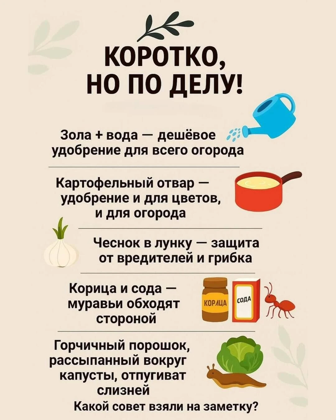 Полезные народные советы для дачи💥