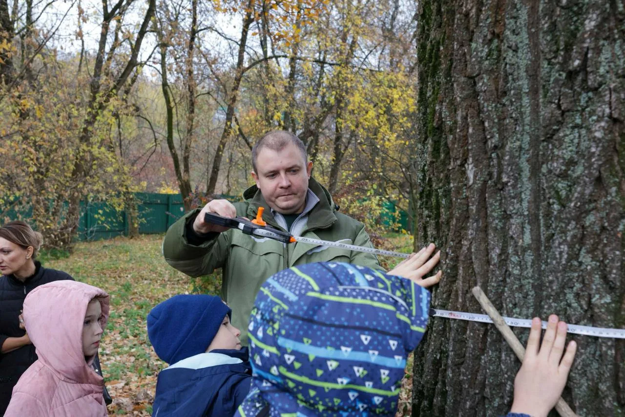 🌳 Сколько лет дубу в «Подолье»?