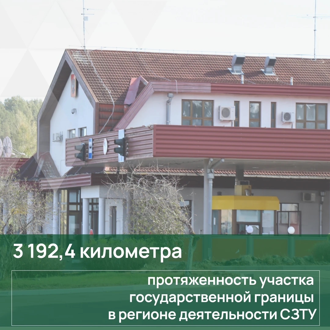 Рубрика: #Цифра недели  🔍