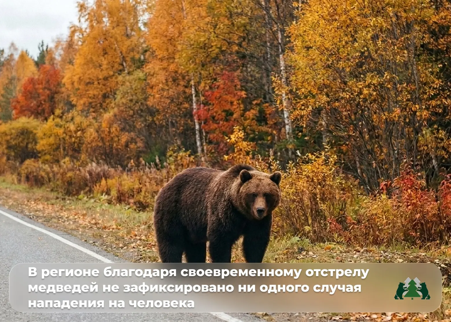 📣 Уважаемые представители средств массовой информации!