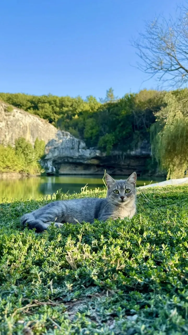 💚 База отдыха Коба-Чаир, с. Родное. Севастополь