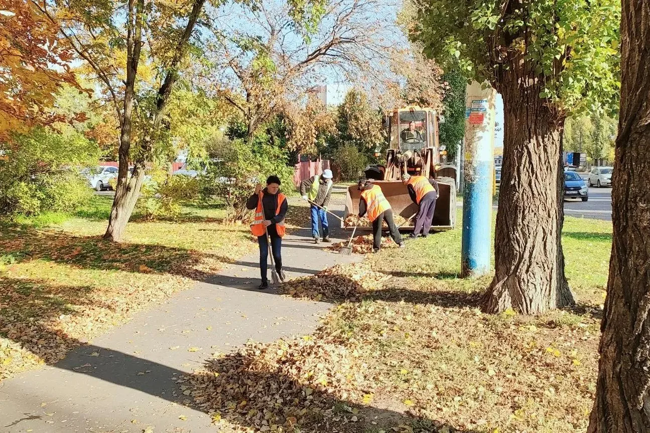 🍁🧹 Месячник благоустройства в нашем районе идет полным ходом
