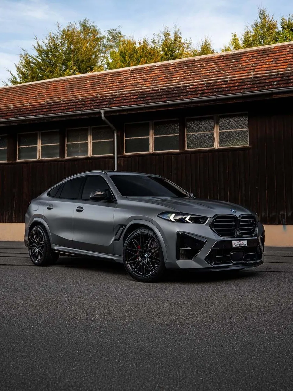 Stealth X6M Competition в individual Frozen Pure Grey 🌪