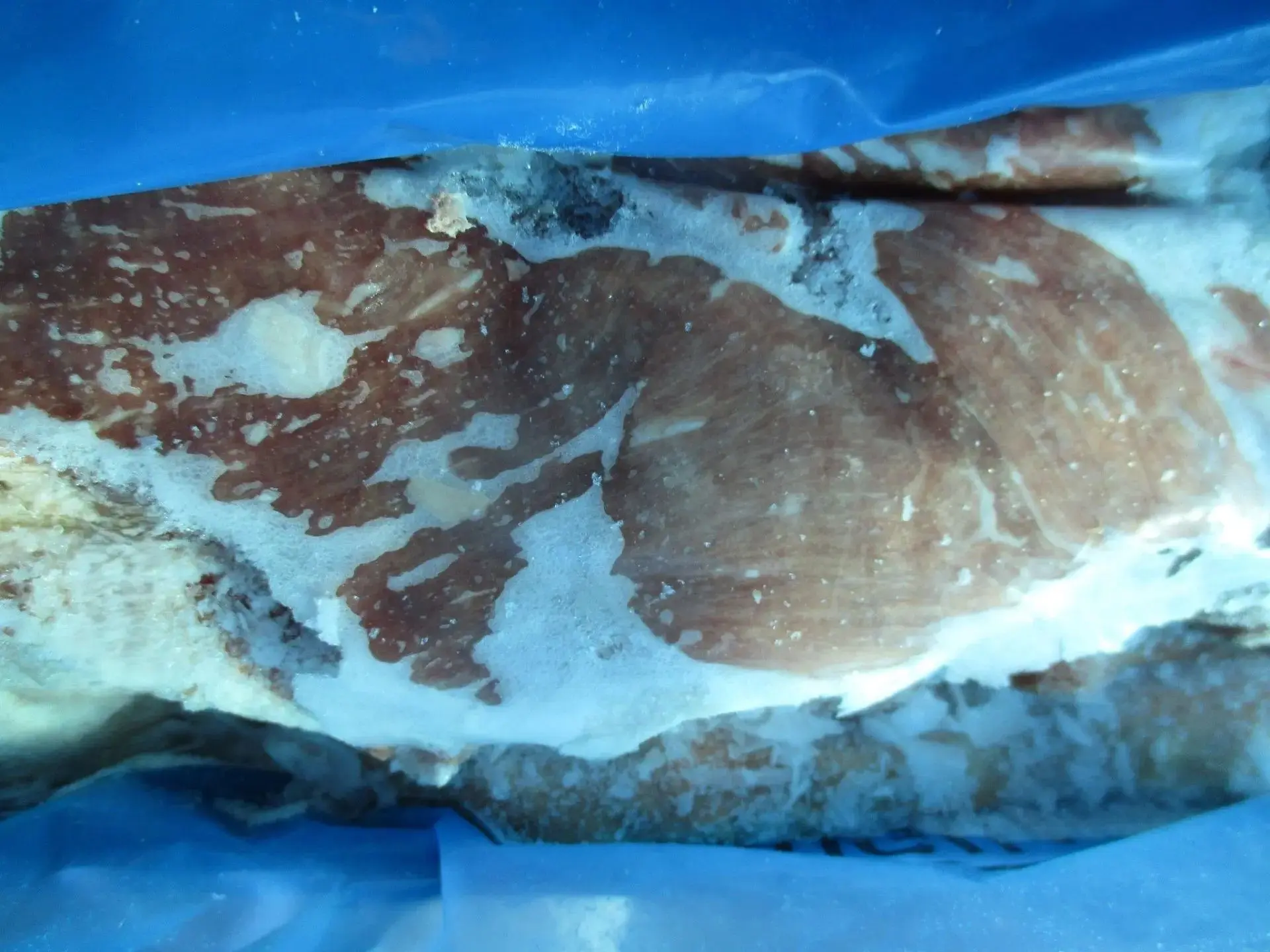 🥩Мороженная говядина из Уругвая вызвала сомнения у специалистов Россельхознадзора.