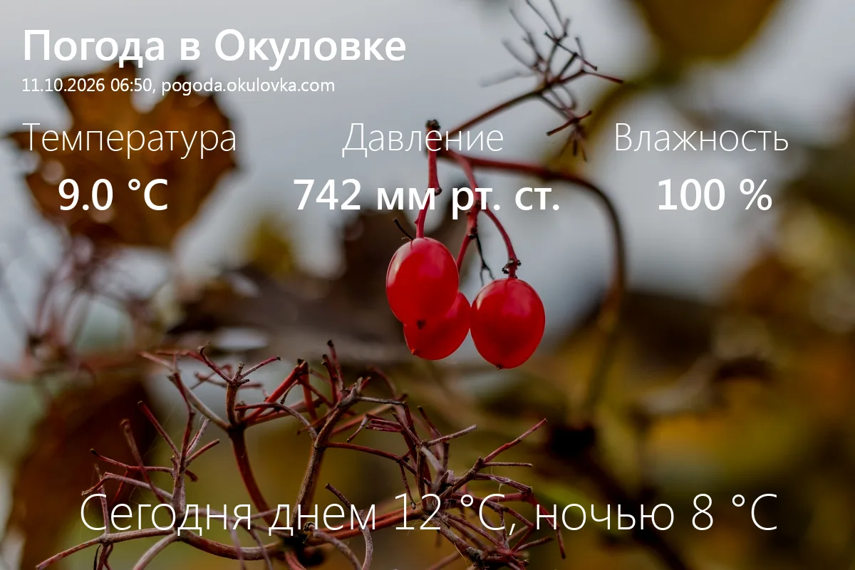 Доброе утро! Сейчас в Окуловке 9.0 °C, давление 742 мм.рт.ст., влажность 100%.