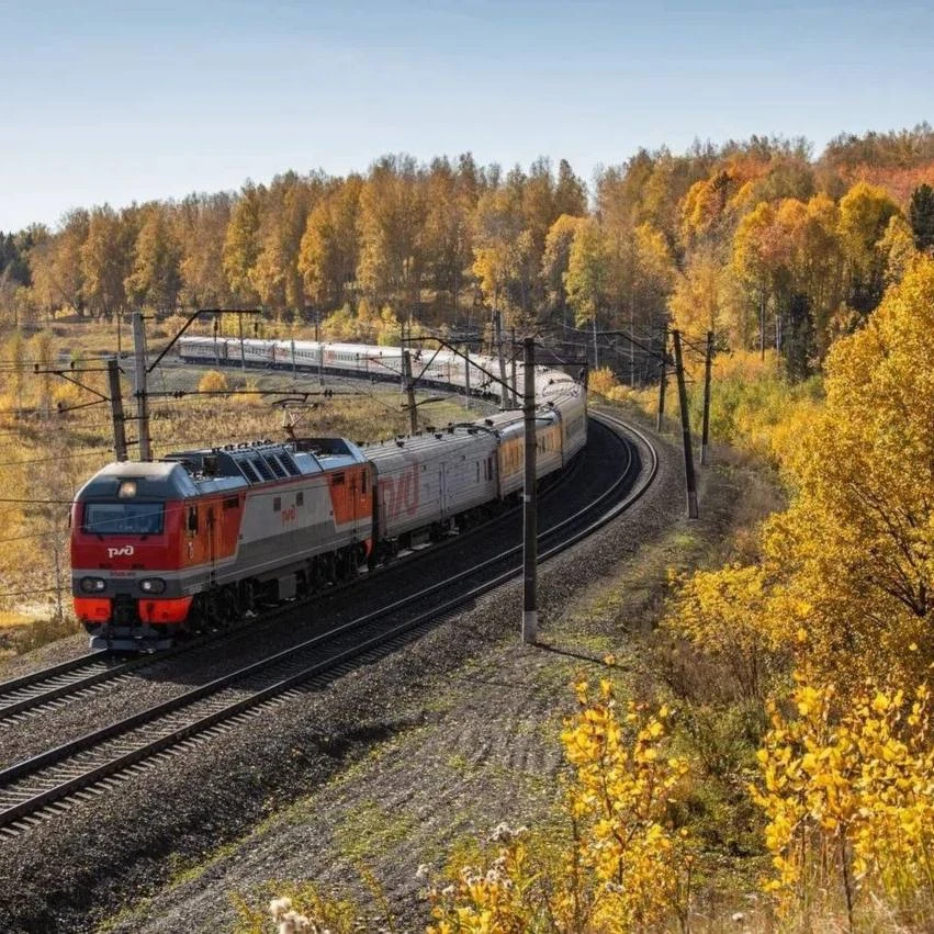 🚆 Электрички уходят в зимнюю спячку: что изменится