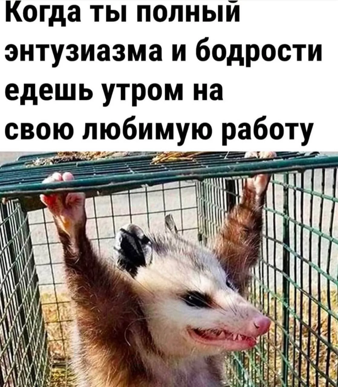 доброе утро, мои золотые!