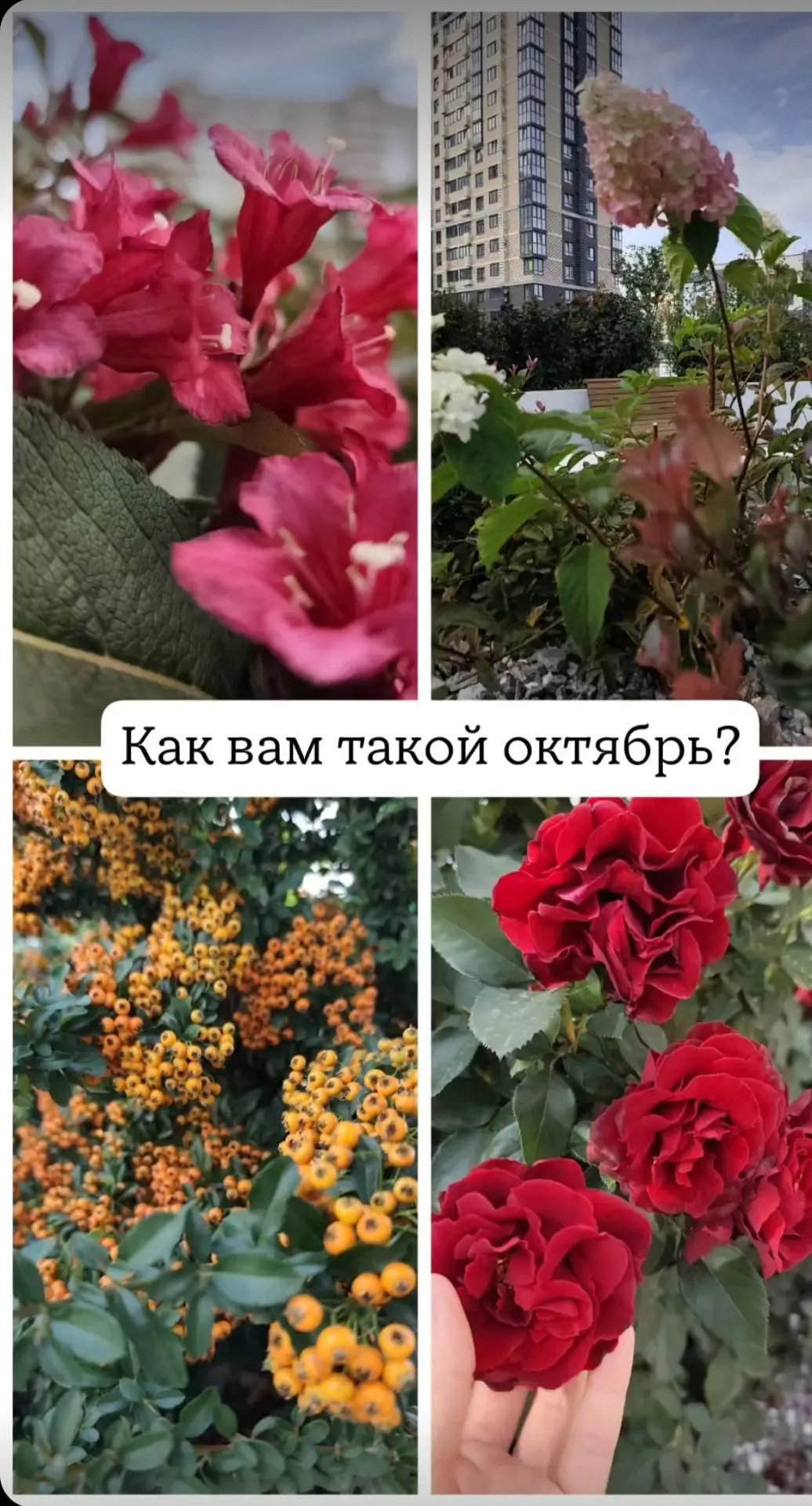 А у вас какая сейчас погода?
