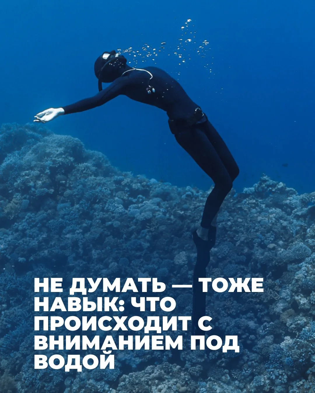 Не думать — тоже навык: что происходит с вниманием под водой