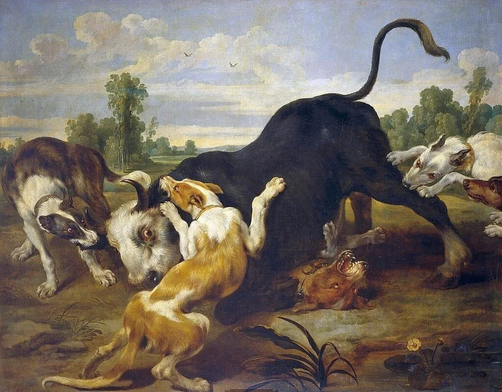 Бык, усмиренный собаками. Paul de Vos (1592-1678), фламандский художник,
