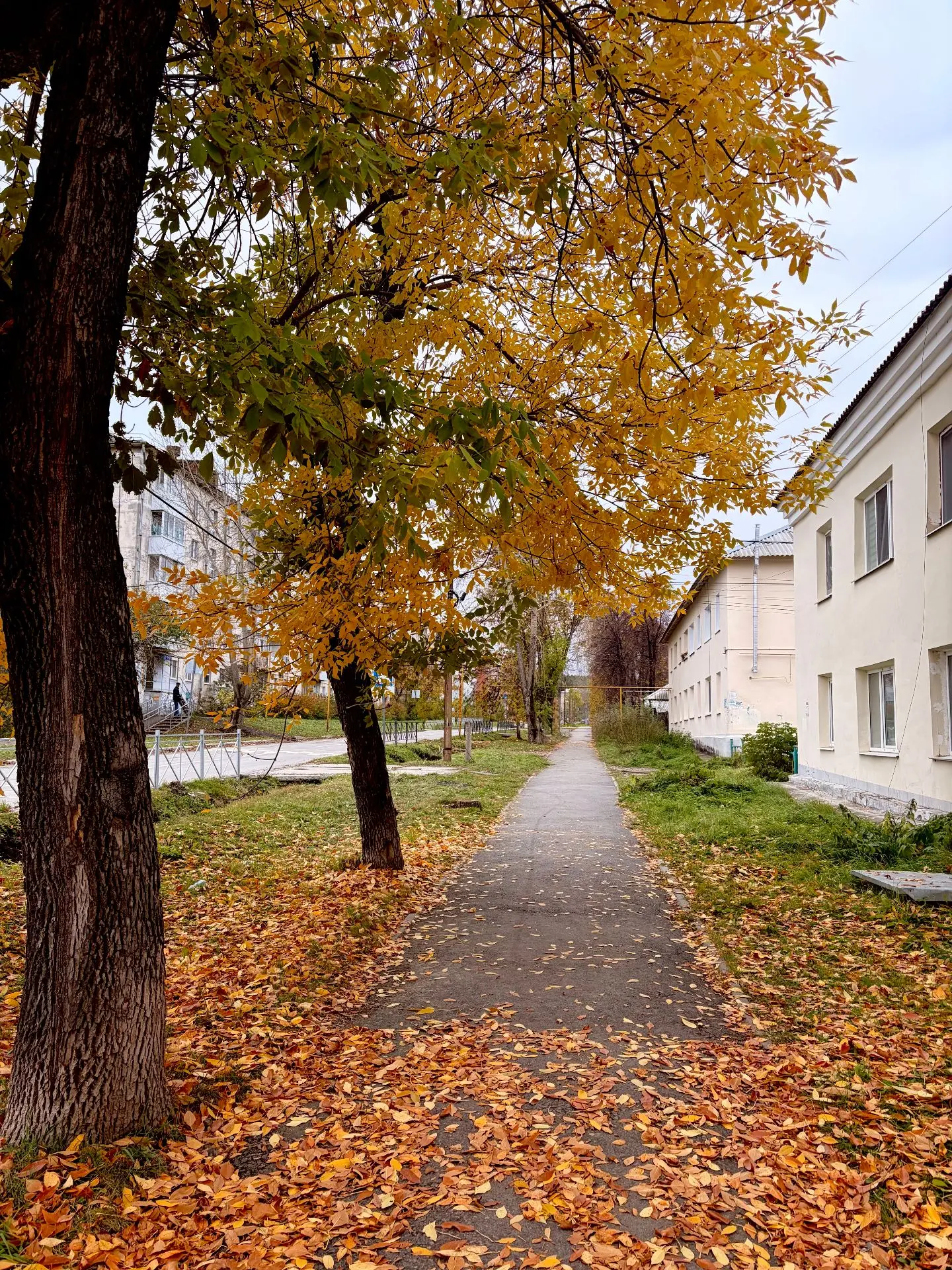 🍁Тёплая осень в этом году удивляет!