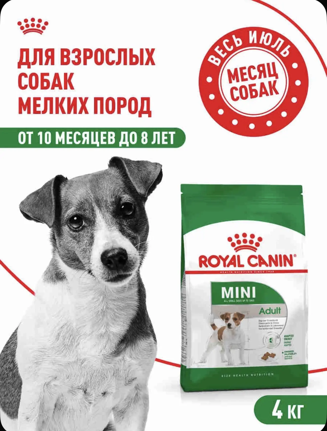 Сухой корм для собак Royal Canin Mini Adult для мелких пород, 4 кг